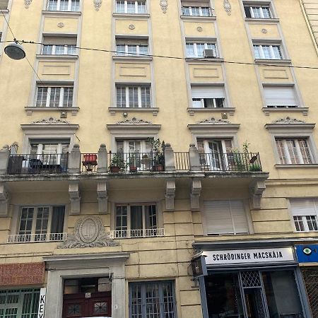 Cool Cat Budapest Apartment 외부 사진