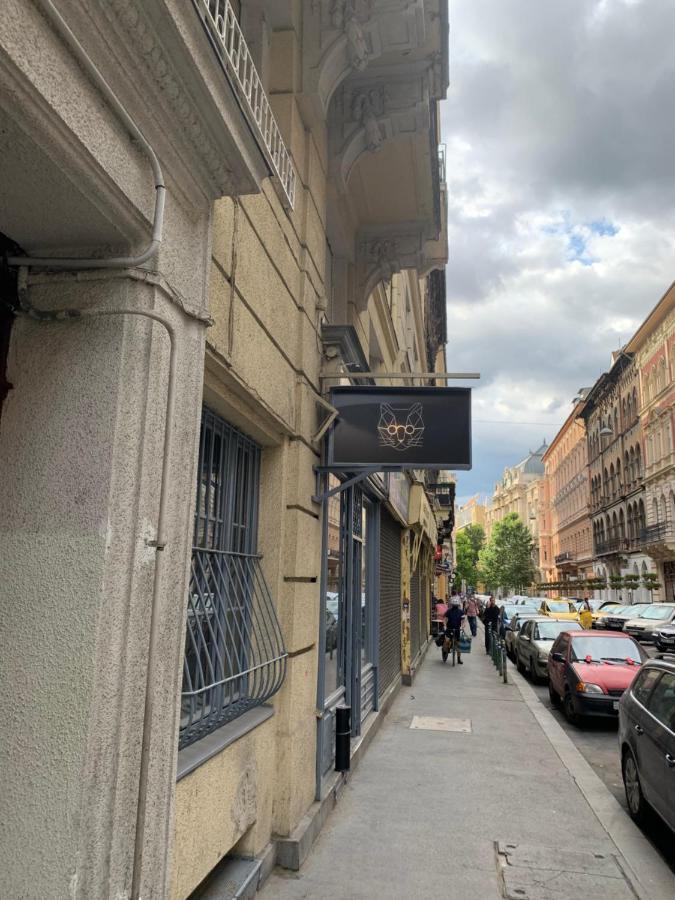 Cool Cat Budapest Apartment 외부 사진